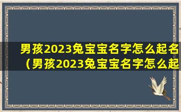 男孩2023兔宝宝名字怎么起名（男孩2023兔宝宝名字怎么起名好听）