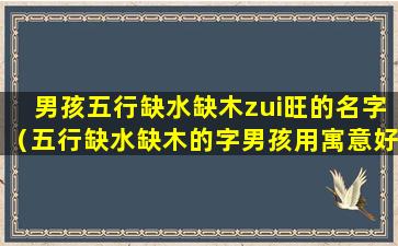 男孩五行缺水缺木zui旺的名字（五行缺水缺木的字男孩用寓意好的）