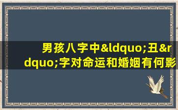 男孩八字中“丑”字对命运和婚姻有何影响