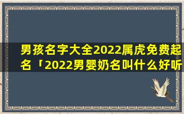 男孩名字大全2022属虎免费起名「2022男婴奶名叫什么好听」