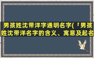 男孩姓沈带洋字通明名字(「男孩姓沈带洋名字的含义、寓意及起名方法」)