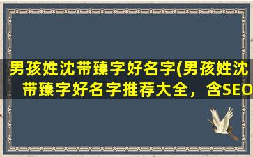 男孩姓沈带臻字好名字(男孩姓沈带臻字好名字推荐大全，含SEO关键词)