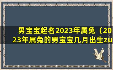 男宝宝起名2023年属兔（2023年属兔的男宝宝几月出生zui好）