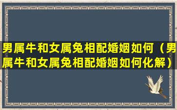 男属牛和女属兔相配婚姻如何（男属牛和女属兔相配婚姻如何化解）