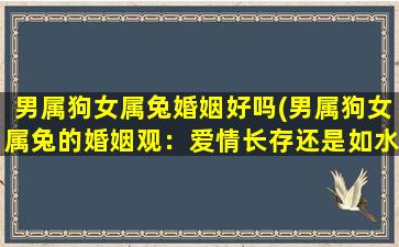 男属狗女属兔婚姻好吗(男属狗女属兔的婚姻观：爱情长存还是如水般匆匆？)