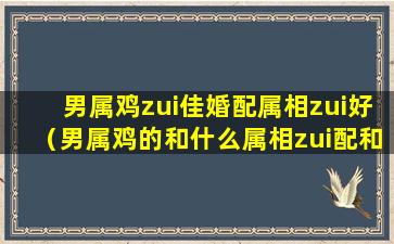 男属鸡zui佳婚配属相zui好（男属鸡的和什么属相zui配和什么不配）