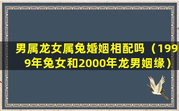 男属龙女属兔婚姻相配吗（1999年兔女和2000年龙男姻缘）