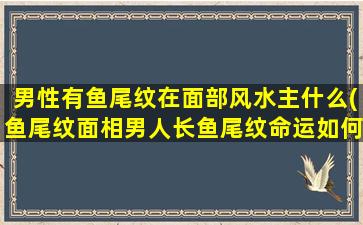 男性有鱼尾纹在面部风水主什么(鱼尾纹面相男人长鱼尾纹命运如何)