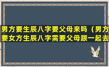 男方要生辰八字要父母来吗（男方要女方生辰八字需要父母跟一起去女方家里吗）