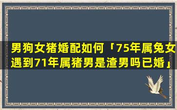 男狗女猪婚配如何「75年属兔女遇到71年属猪男是渣男吗已婚」