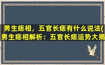 男生痣相，五官长痣有什么说法(男生痣相解析：五官长痣运势大揭秘！)