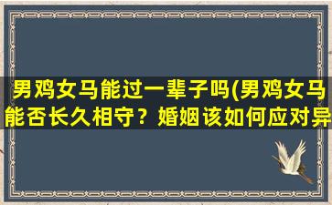 男鸡女马能过一辈子吗(男鸡女马能否长久相守？婚姻该如何应对异族之爱？)