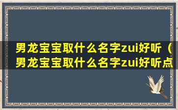 男龙宝宝取什么名字zui好听（男龙宝宝取什么名字zui好听点）