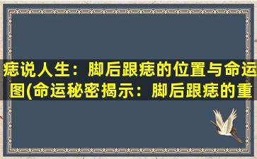 痣说人生：脚后跟痣的位置与命运图(命运秘密揭示：脚后跟痣的重要寓意与人生磨考)