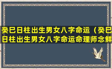 癸巳日柱出生男女八字命运（癸巳日柱出生男女八字命运命理师念鲜）