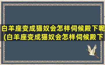 白羊座变成猫奴会怎样伺候殿下呢(白羊座变成猫奴会怎样伺候殿下呢）