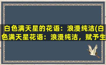 白色满天星的花语：浪漫纯洁(白色满天星花语：浪漫纯洁，赋予生命美丽的寓意)