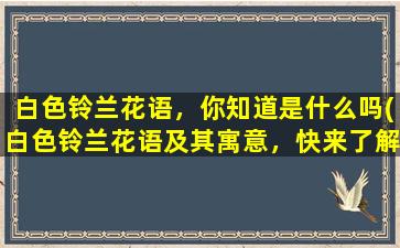 白色铃兰花语，你知道是什么吗(白色铃兰花语及其寓意，快来了解！)