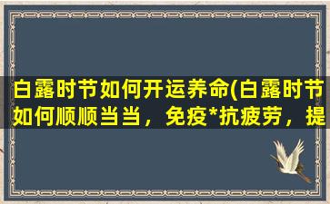 白露时节如何开运养命(白露时节如何顺顺当当，免疫*抗疲劳，提高生命力？)