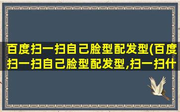 百度扫一扫自己脸型配发型(百度扫一扫自己脸型配发型,扫一扫什么脸型配什么发型)