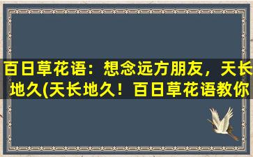 百日草花语：想念远方朋友，天长地久(天长地久！百日草花语教你如何想念远方朋友)