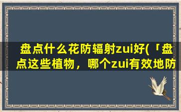 盘点什么花防辐射zui好(「盘点这些植物，哪个zui有效地防辐射？30个zui佳花草防辐射法」)