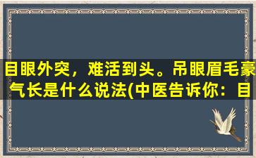 目眼外突，难活到头。吊眼眉毛豪气长是什么说法(中医告诉你：目眼外突，难活到头，这种情况可以通过中医调理缓解。)