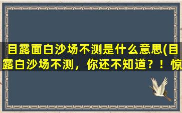 目露面白沙场不测是什么意思(目露白沙场不测，你还不知道？！惊闻那年神兵天降！)