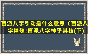 盲派八字引动是什么意思（盲派八字精髓;盲派八字神乎其技(下)）