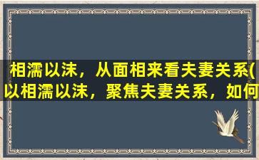 相濡以沫，从面相来看夫妻关系(以相濡以沫，聚焦夫妻关系，如何维系幸福婚姻？)