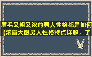 眉毛又粗又浓的男人性格都是如何(浓眉大眼男人性格特点详解，了解一下！)