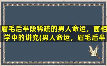 眉毛后半段稀疏的男人命运，面相学中的讲究(男人命运，眉毛后半段稀疏的面相学讲究)