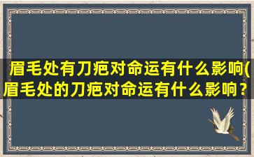 眉毛处有刀疤对命运有什么影响(眉毛处的刀疤对命运有什么影响？探寻神秘的眼眉命运学)