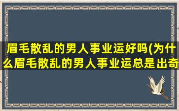 眉毛散乱的男人事业运好吗(为什么眉毛散乱的男人事业运总是出奇迹？)