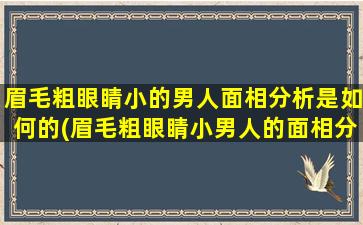 眉毛粗眼睛小的男人面相分析是如何的(眉毛粗眼睛小男人的面相分析及解读)