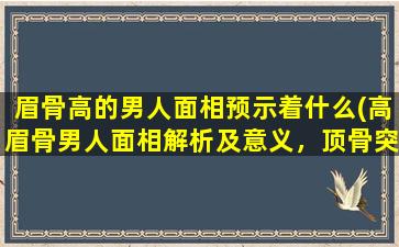 眉骨高的男人面相预示着什么(高眉骨男人面相解析及意义，顶骨突出指数的含义)