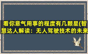 看你意气用事的程度有几颗星(智慧达人解读：无人驾驶技术的未来发展趋势)