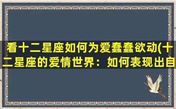 看十二星座如何为爱蠢蠢欲动(十二星座的爱情世界：如何表现出自己的蠢蠢欲动)