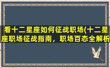 看十二星座如何征战职场(十二星座职场征战指南，职场百态全解析)