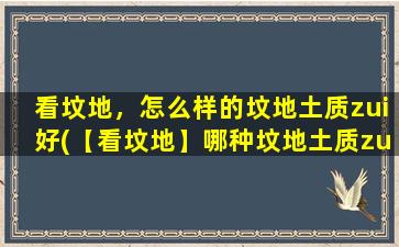 看坟地，怎么样的坟地土质zui好(【看坟地】哪种坟地土质zui佳？了解一下)