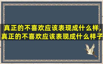 真正的不喜欢应该表现成什么样,真正的不喜欢应该表现成什么样子