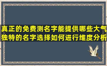 真正的免费测名字能提供哪些大气独特的名字选择如何进行维度分析和五格分析