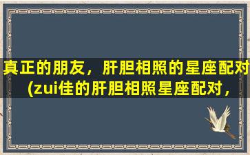 真正的朋友，肝胆相照的星座配对(zui佳的肝胆相照星座配对，见证真正的友谊！)