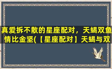 真爱拆不散的星座配对，天蝎双鱼情比金坚(【星座配对】天蝎与双鱼真爱情比金坚，拆不散)