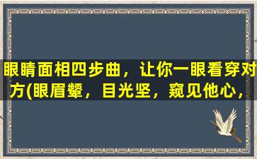 眼睛面相四步曲，让你一眼看穿对方(眼眉颦，目光坚，窥见他心，从中推演)