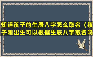 知道孩子的生辰八字怎么取名（孩子刚出生可以根据生辰八字取名吗）