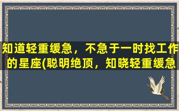 知道轻重缓急，不急于一时找工作的星座(聪明绝顶，知晓轻重缓急，无急于寻找工作的星座)