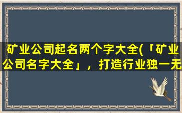 矿业公司起名两个字大全(「矿业公司名字大全」，打造行业独一无二的命名方案)