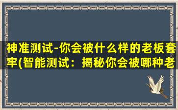 神准测试-你会被什么样的老板套牢(智能测试：揭秘你会被哪种老板套牢)