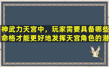 神武力天宫中，玩家需要具备哪些命格才能更好地发挥天宫角色的潜力